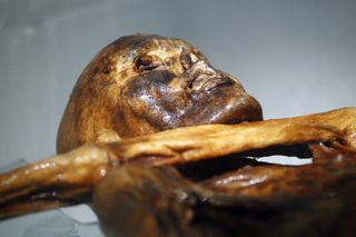 Otzi the Iceman mummy was discovered in the Italian Alps in 1991.