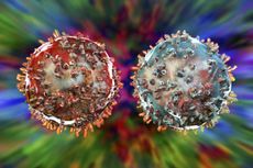 an abstract, multicolored illustration of two immune cells