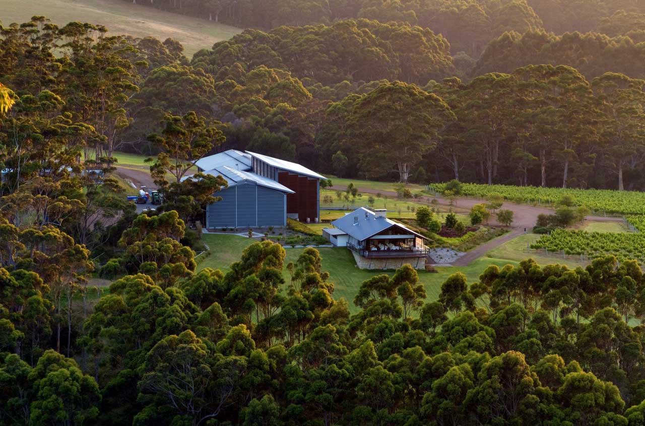 Forest Hill Vineyard