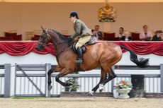 Kelly Ward and Cheryl Farrow&rsquo;s Bloomfield Incognito win the working hunter title at the 2021 Royal Windsor Horse Show