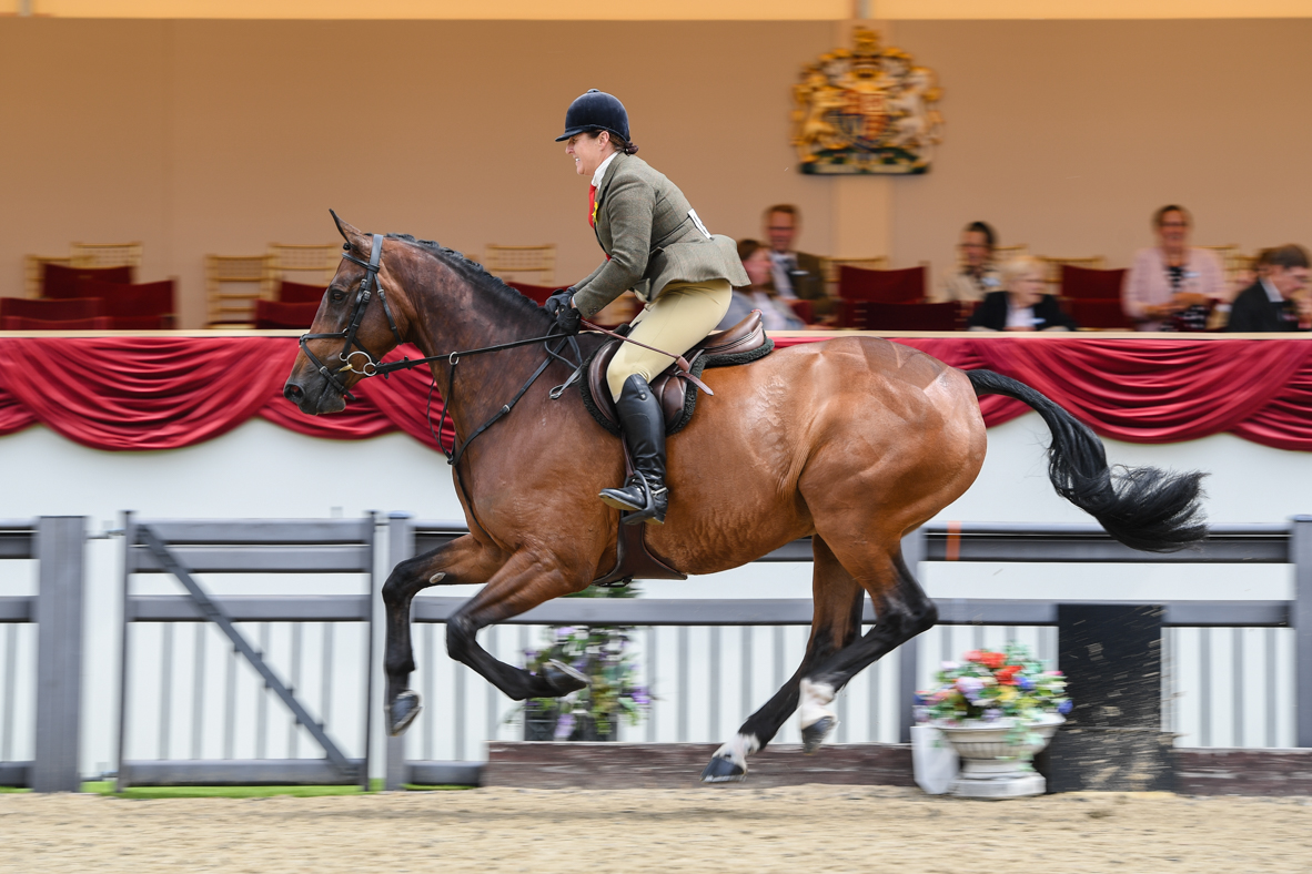Kelly Ward and Cheryl Farrow&rsquo;s Bloomfield Incognito win the working hunter title at the 2021 Royal Windsor Horse Show