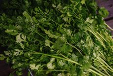 Bunch of fresh coriander close-up.. Credit: Alamy