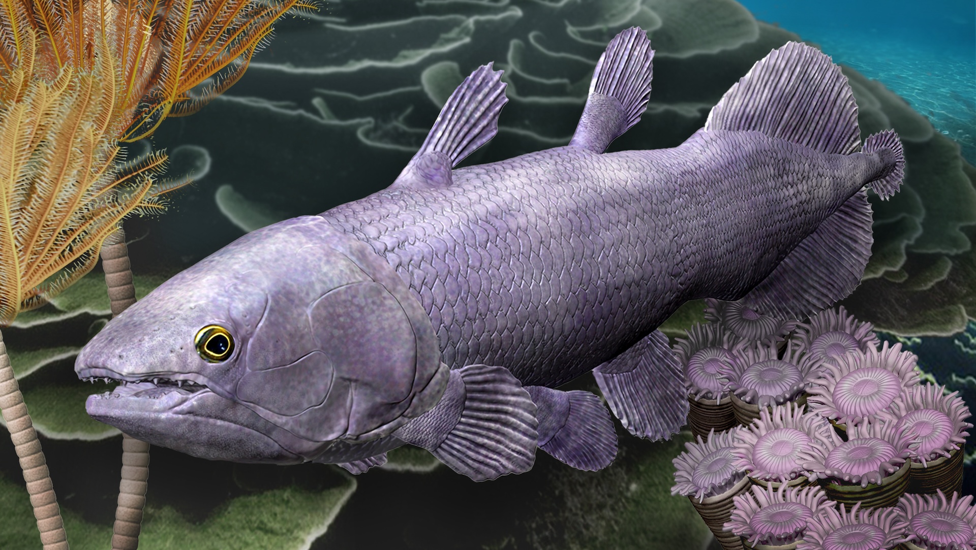 380 million-year-old remains of giant fish found in Australia. Its ...