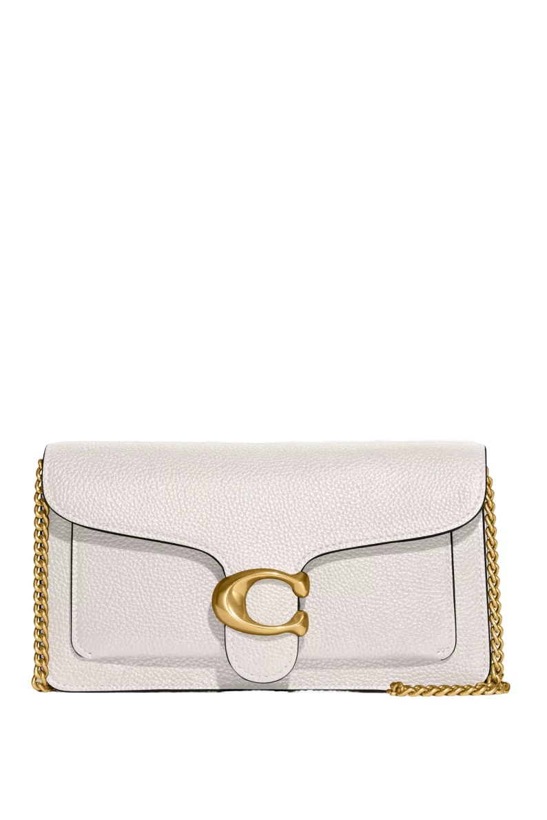 Tabby Chain Clutch