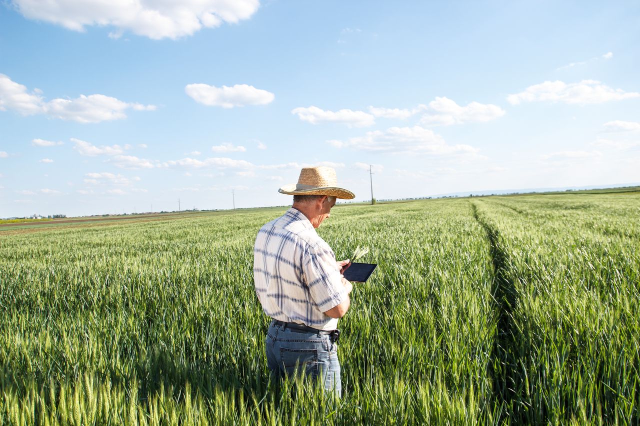 Farm technology. 