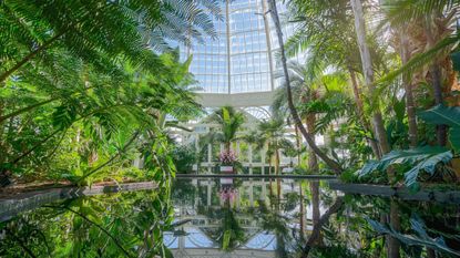 The reflecting pool in New York Botanical Garden