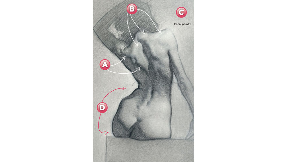 Images from an anatomy drawing tutorial