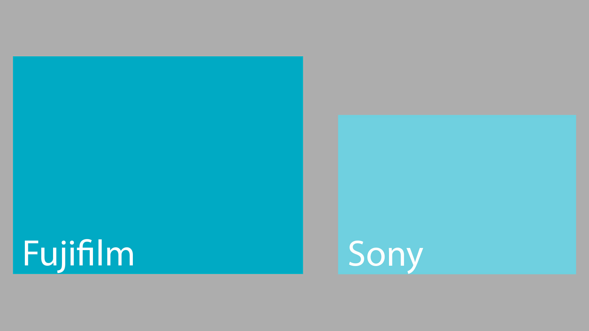 Fujifilm GFX100s / Sony A1