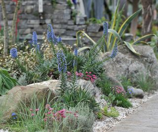 A garden bed with drought tolerant planting with garden bolders, gravel and pathway