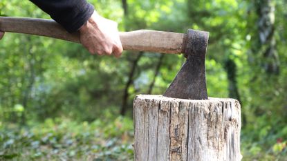 How to remove a tree stump - man hitting top of tree stump with an axe