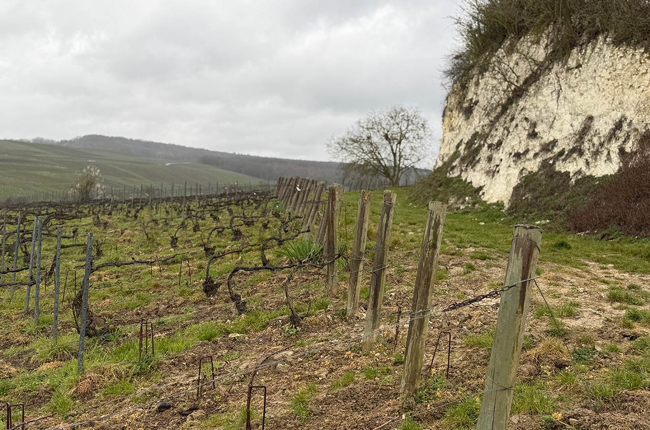 Bollinger