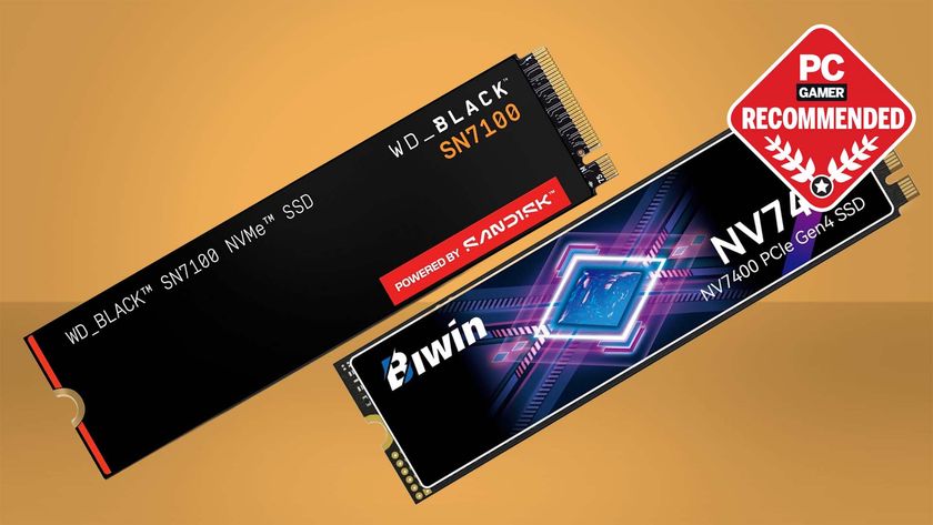 WD_Black SN7100 and BiWin NV7400 SSDs on an orange background