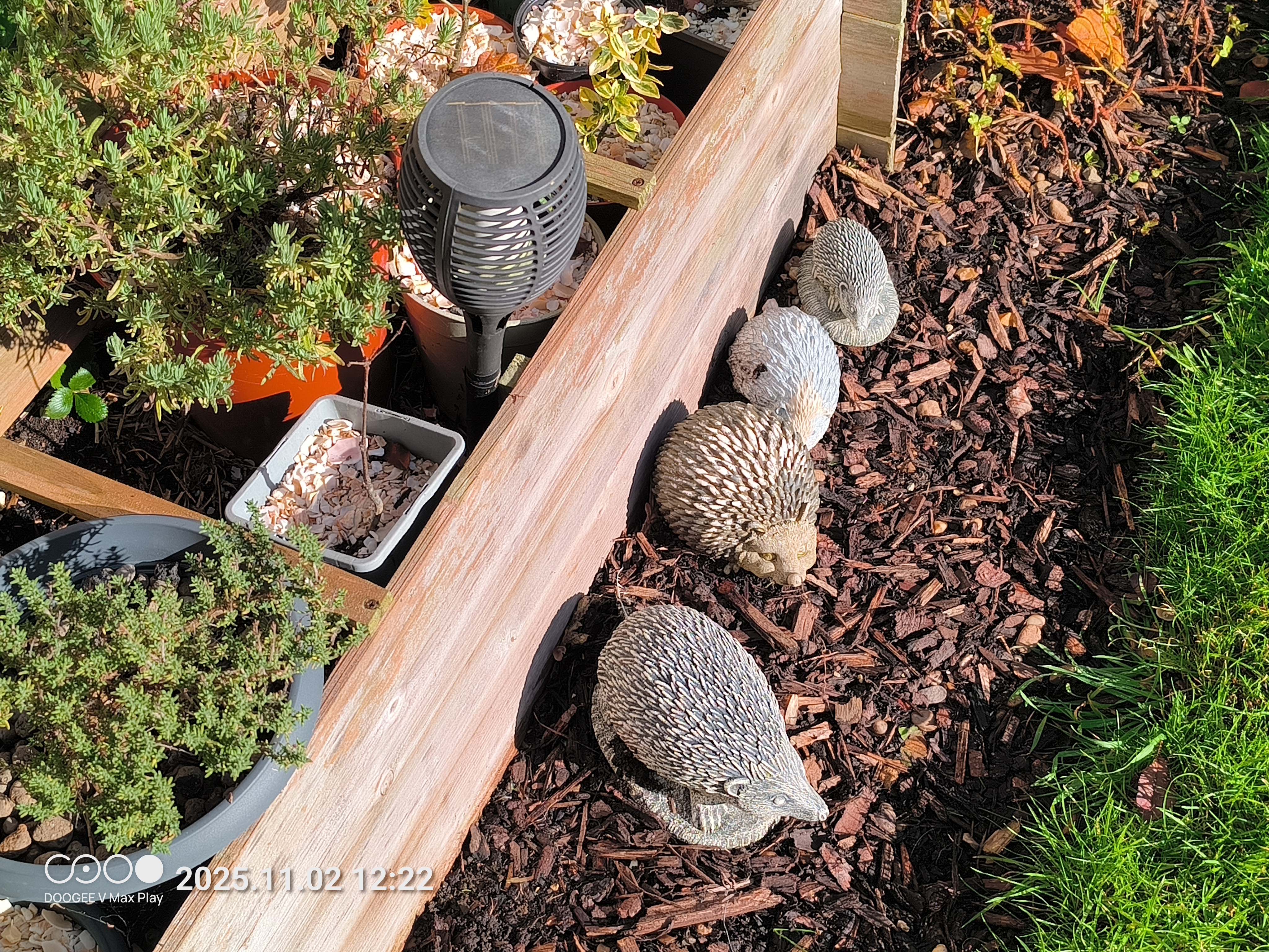 Doogee V Max Play Example images