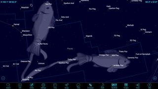 During 2017, Uranus is situated between the two chains of strings that link the fishes of the constellation Pisces. For the next several weeks, the two modest stars Omicron Piscium and Nu Piscium will form the base of an isosceles triangle that is tipped toward the west, with Uranus at the peak. Each star appears about two finger widths from the planet.