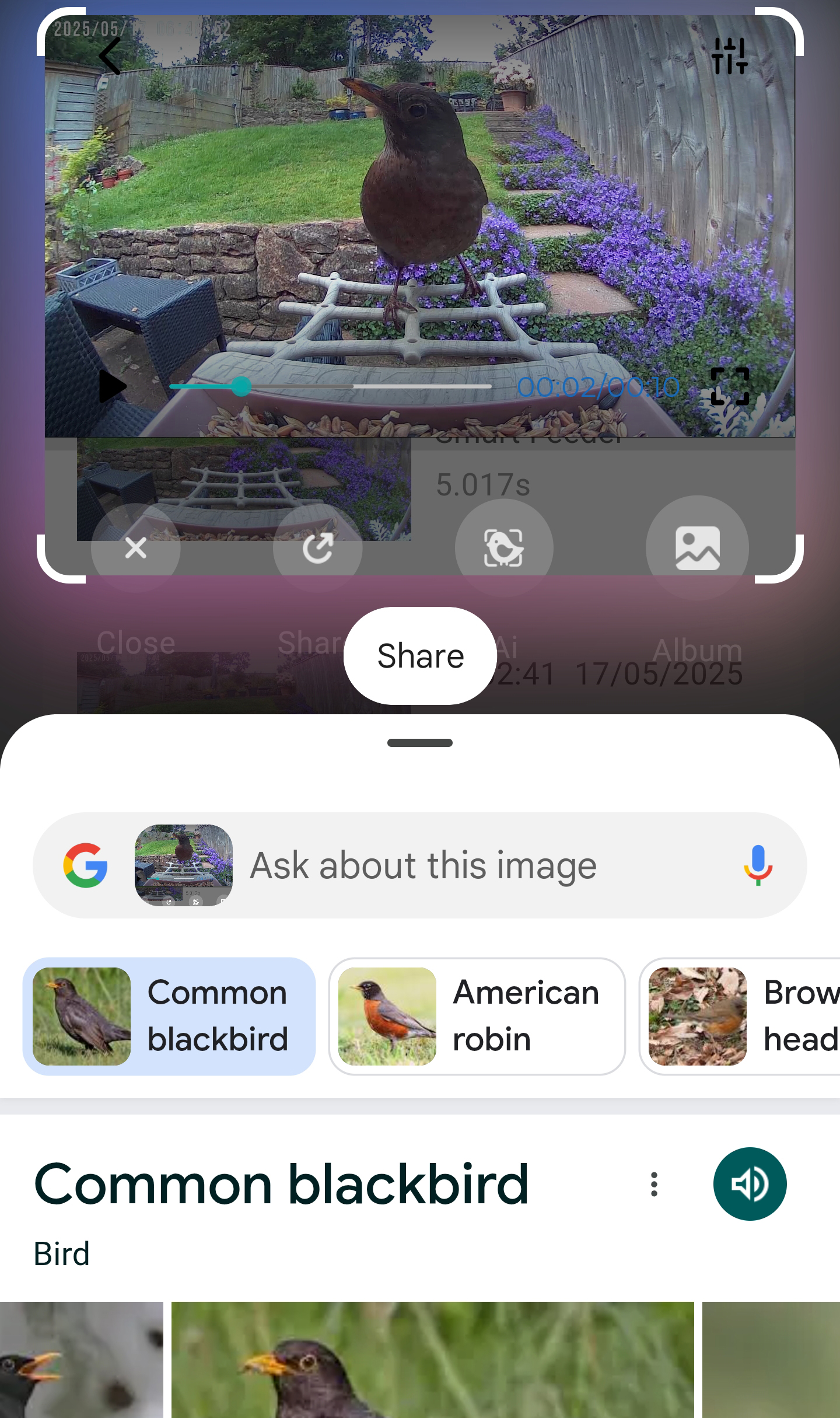 PeckPerk bird camera review