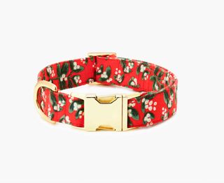 Rifle Paper Co. dog collar