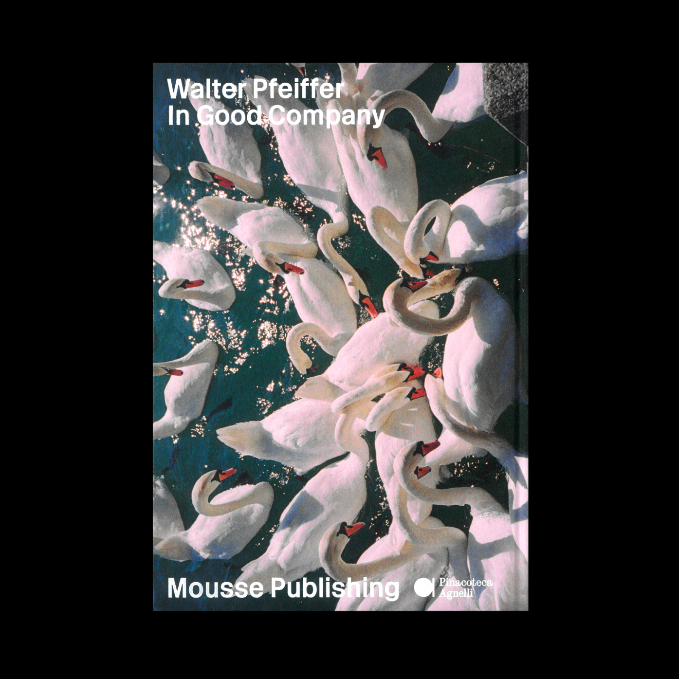 Swans on the cover of Walter Pfeiffer In Good Company book