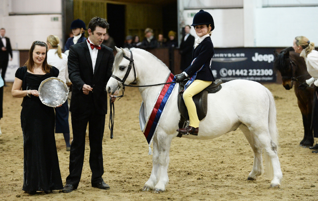 Ponies Association (UK) Winter Classic 2015 on 28 03 2015