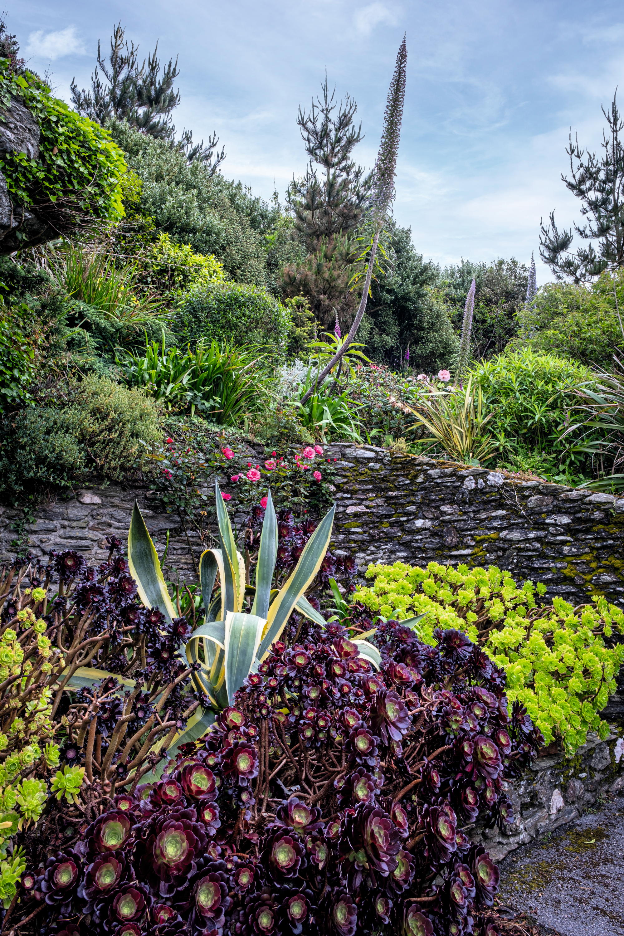 The garden at Ash Park in the South Hams in Devon