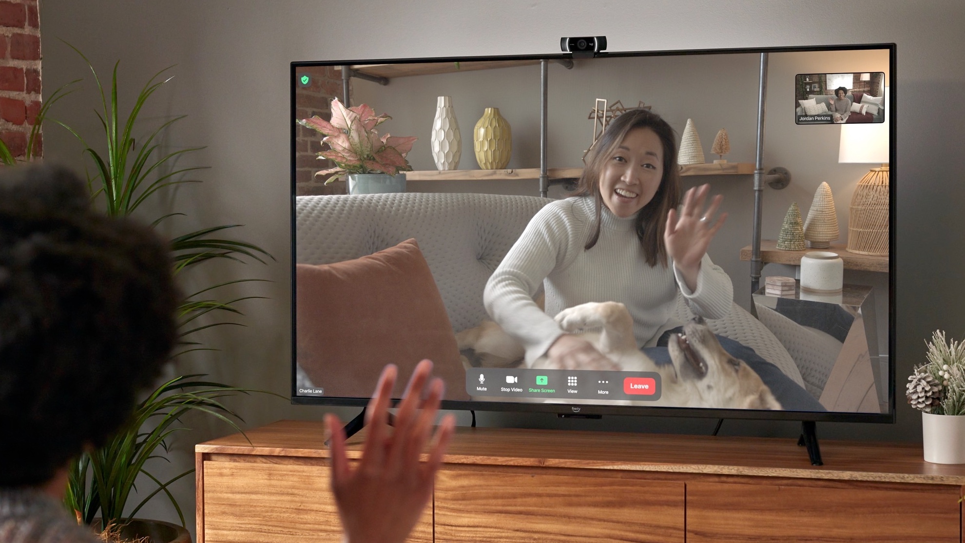 Your Sony TV will soon support Zoom video calls but it's only coming to