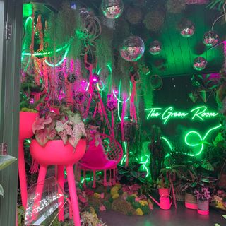 green room with pink hanging chair and plants in pots