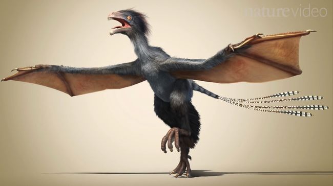 bat like dinosaur