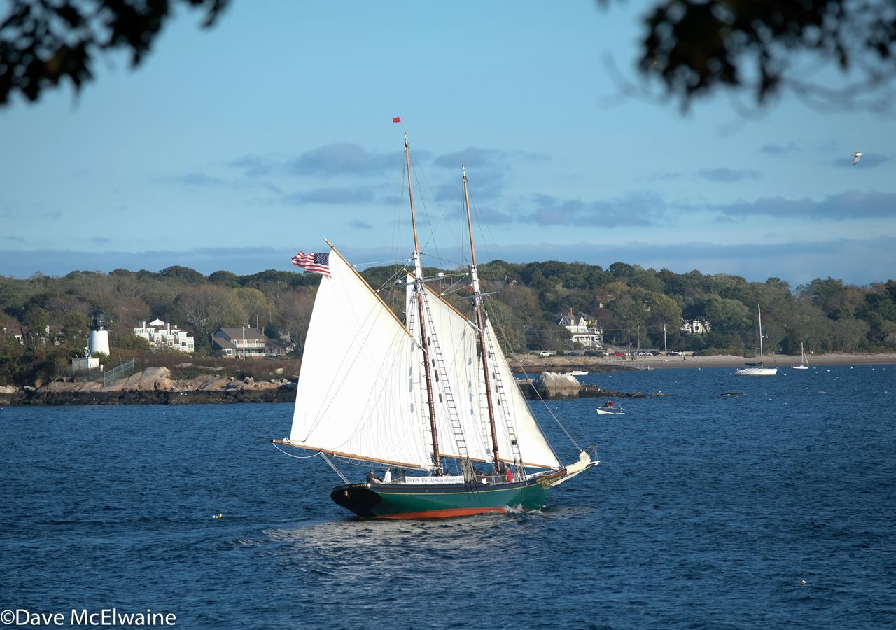 A ship sails past the race venue at Stage Fort Park during the race.