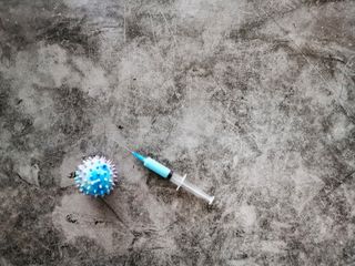 A model of a coronavirus next to a syringe.