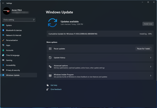 Update Windows 11