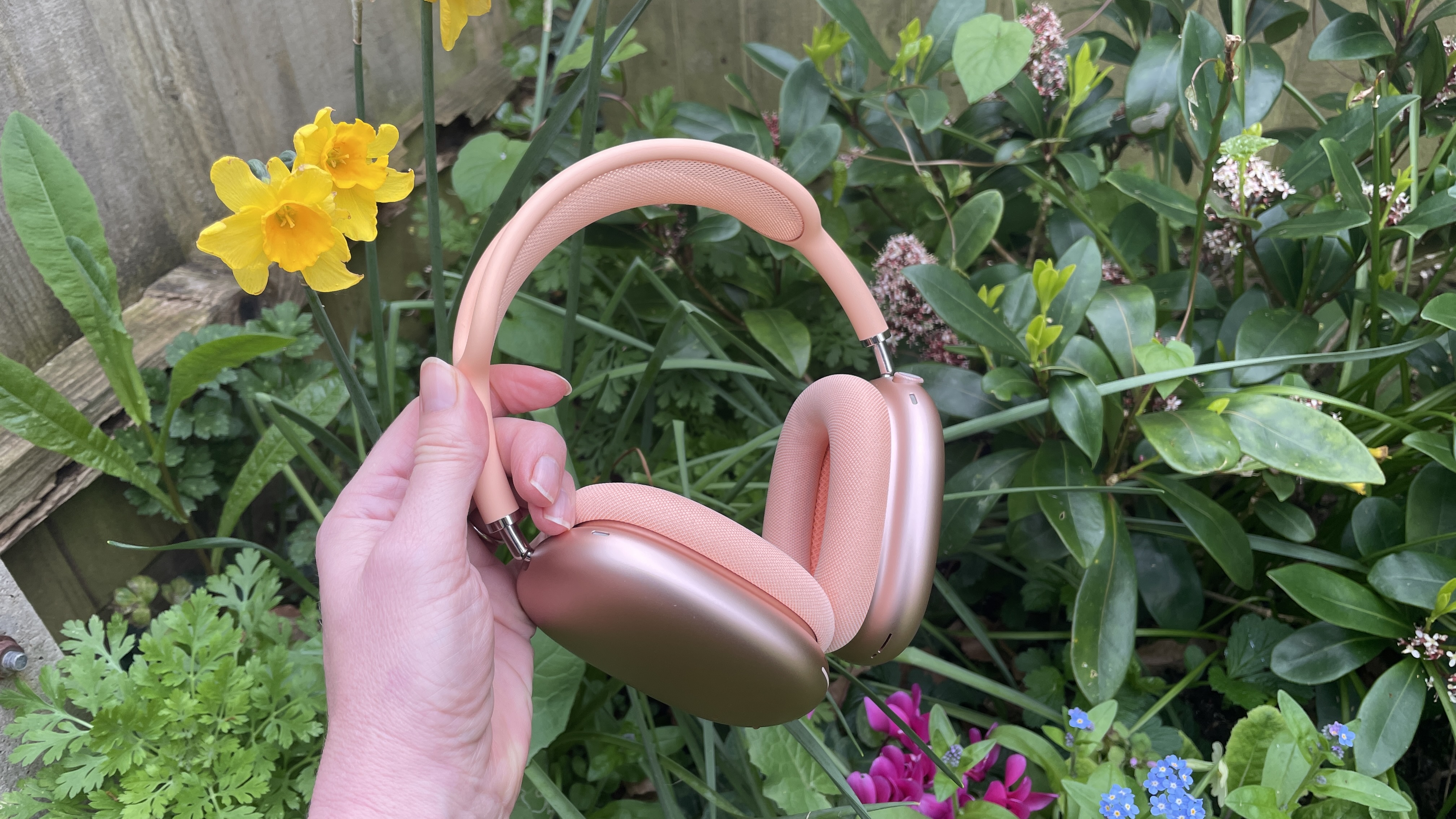 Apple AirPods Max 2 in orange with AirPods Max just visible in purple, outside in a garden on a bench, held in a hand