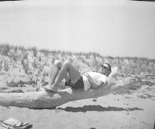 A man reclining on a tree at the beach