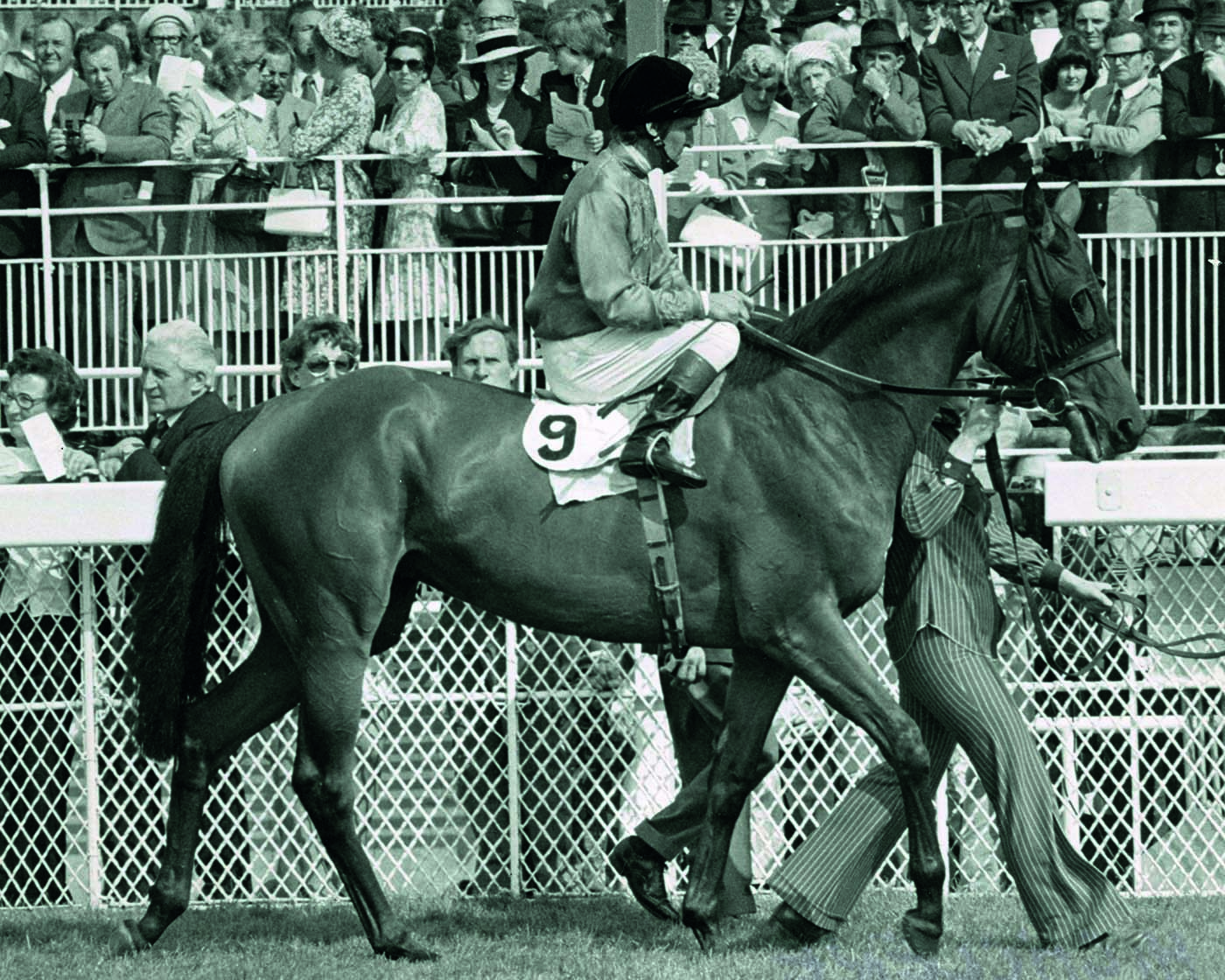Highclere and Jo Mercer being led into the winners enclosure aft