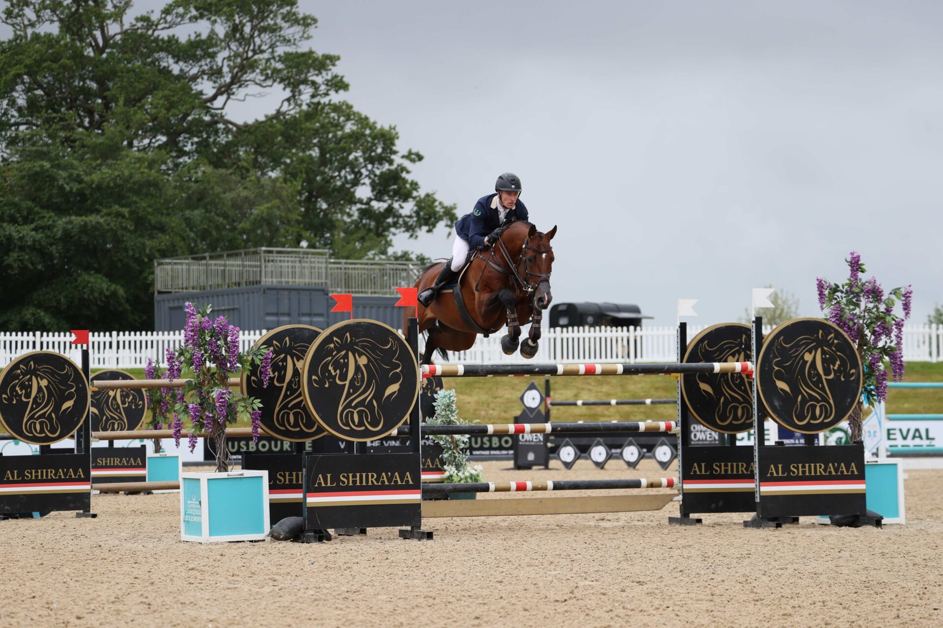 William Whitaker and Chaccos Lando win the Bolesworth grand prix in this weeks showjumping news round-up