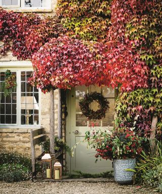 Front door, wreath, red autumn creeping ivy