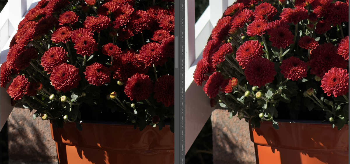 Images RAW test