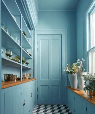 Color drenched pantry with walls and ceiling painted in single shade of mid-tone blue