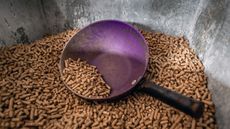 feeding a horse for weight gain horse feed contamination zilpaterol