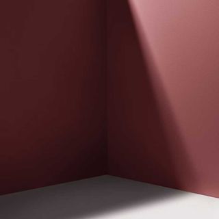 a burgundy paint from backdrop