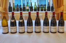 Domaine de la Roman&eacute;e-Conti 2019