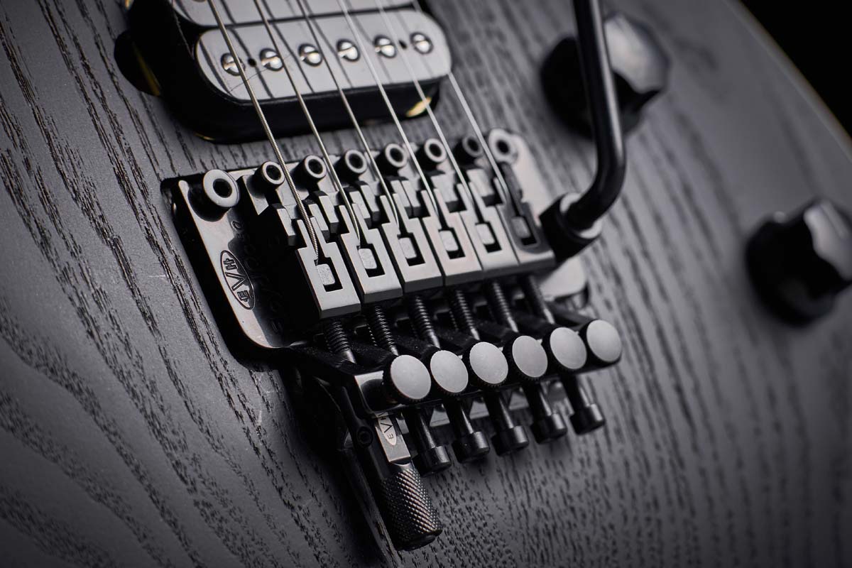 EVH Wolfgang Special Sassafras