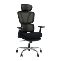Flexispot OC4 Plus