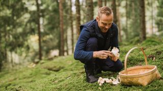Man foraging for mushrooms in woodland