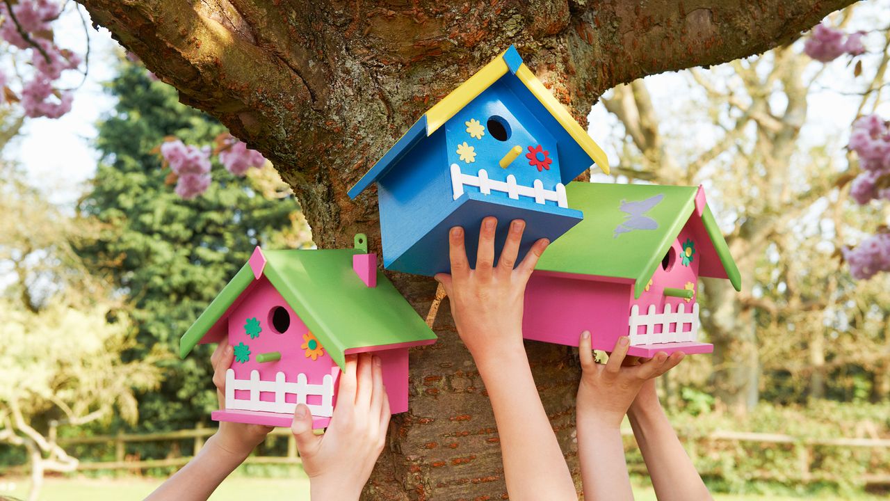 bird house design ideas: bright colors