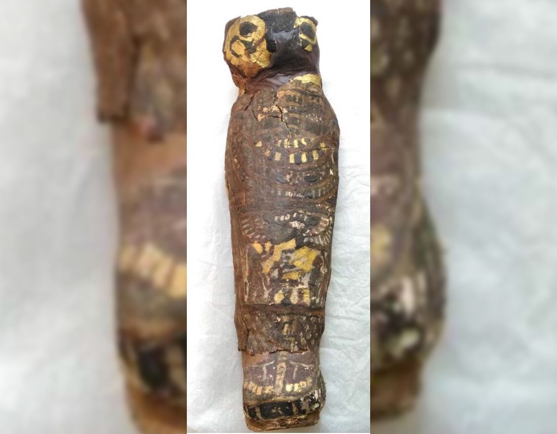 The cartonnage of the human mummy is shaped in a way that makes it look a bit like a hawk, and that&#039;s what scientists thought it was until recently.