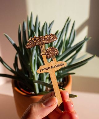 Humorous funghi inspired plant tag in wood