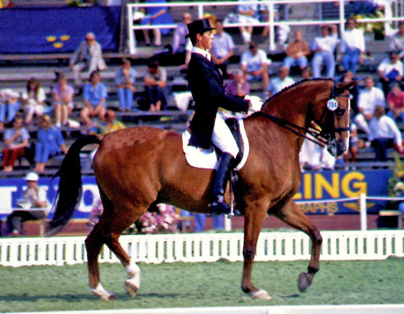 Carl-and-Rubelit-von-Unkenruf-competing-_164738812_247132091