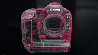 The body construction of the Canon EOS R3 mirrorless camera