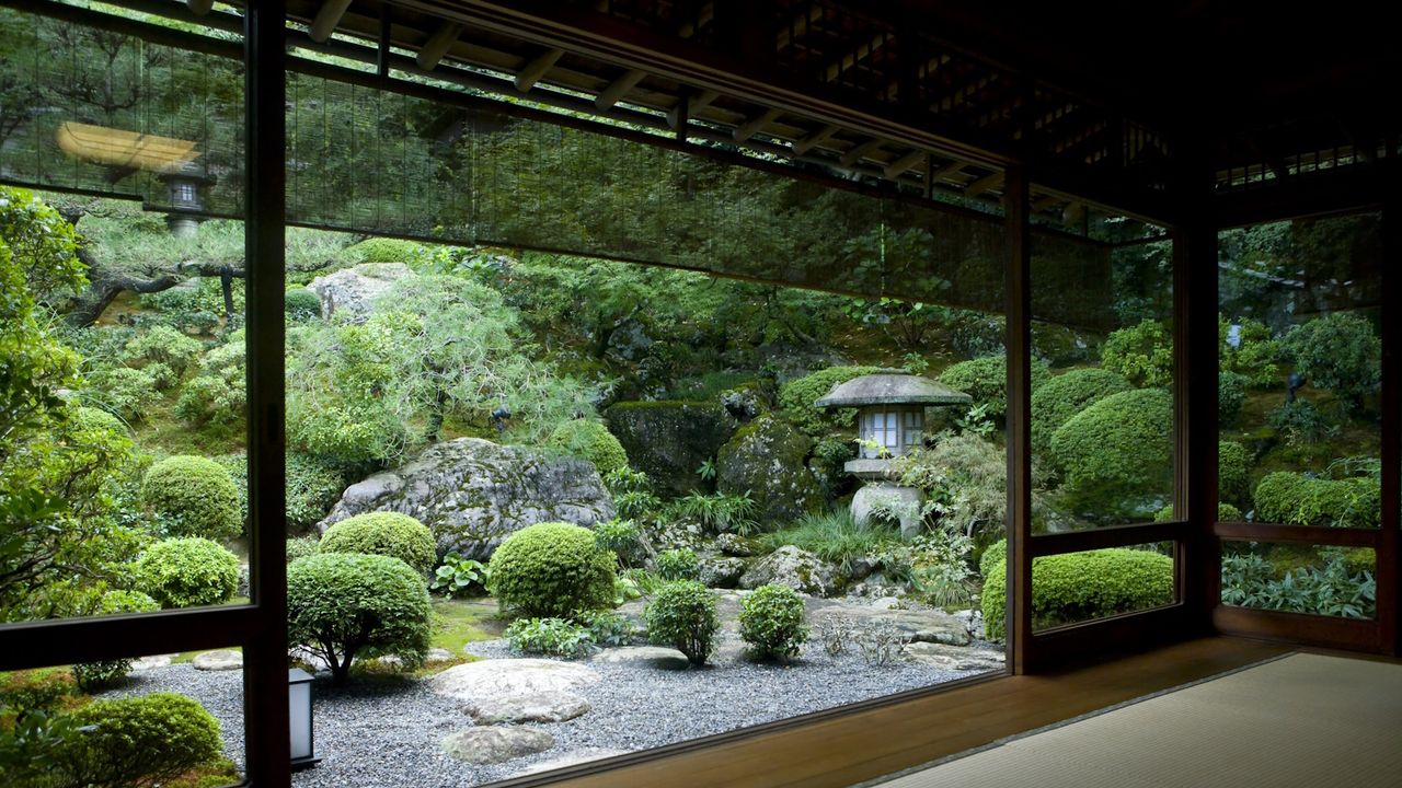 Japanese garden seen from inside a traditional tatami room