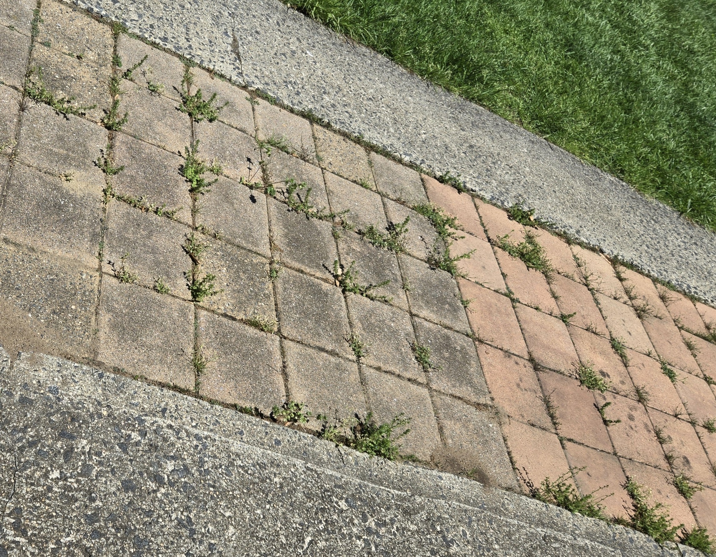 Stihl REA 100 Plus used to remove weeds from pavers.