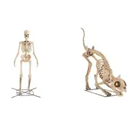 Home Depot 12 ft. Grave & Bones Giant Skelly with LifeEyes and 5 ft. LED Skelly's Cat Combo